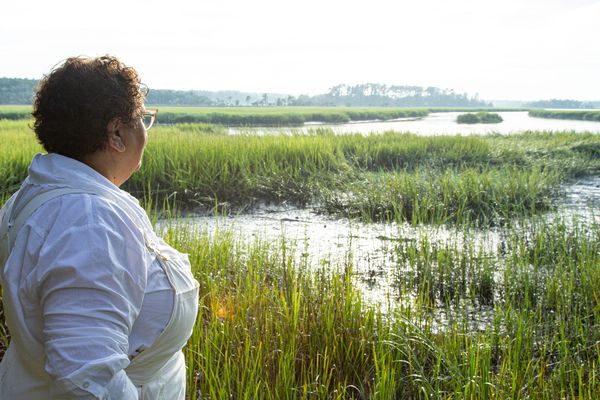 Cheryl Day overlooking wetlands in the South