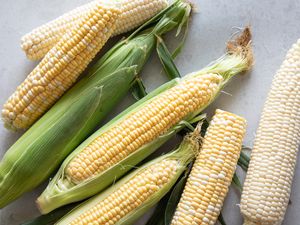 Varieties of summer corn