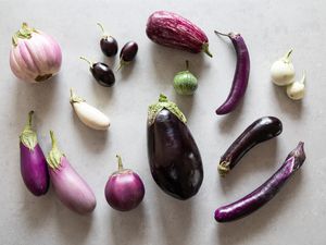 All kinds of varieties of eggplant