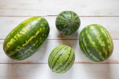 Four types and sizes of watermelon