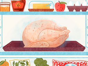 Turkey thawing in a fridge illustration