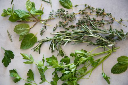 Sprigs of Parsley, Rosemary, Mint, and Thyme on a Counter