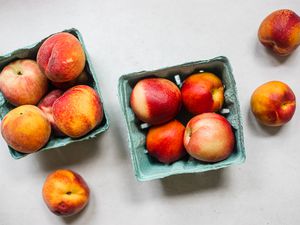 Peaches and nectarines in a turquoise carton container