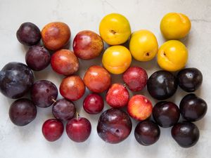 Varieties and colors of plums