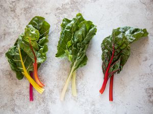 Varieties of Swiss chard with rainbow red and white stems