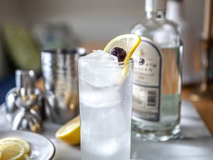 Classic Tom Collins cocktail garnished with lemon with a plate of lemons to the left and a bottle of gin behind it.