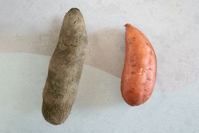 Yam vs sweet potato